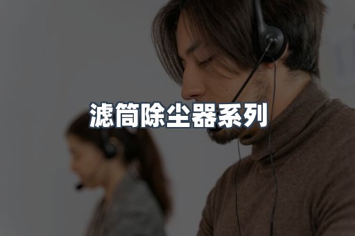 滤筒除尘器系列