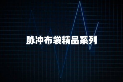脉冲布袋精品系列